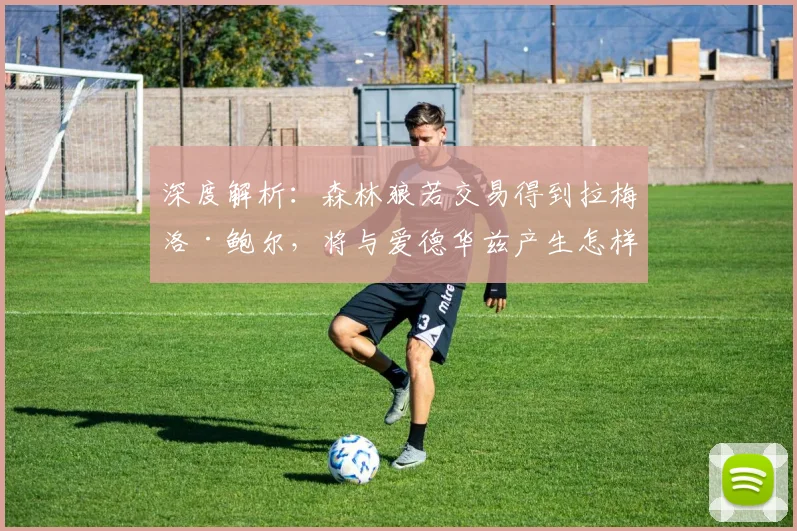 深度解析：森林狼若交易得到拉梅洛·鲍尔，将与爱德华兹产生怎样的化学反应？对西部格局冲击有多大？
