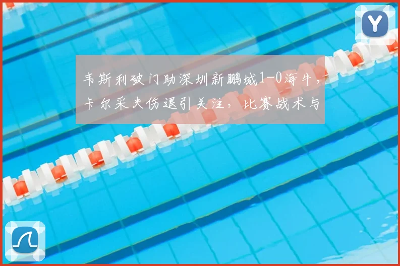 韦斯利破门助深圳新鹏城1-0海牛，卡尔采夫伤退引关注，比赛战术与球员数据深度解析