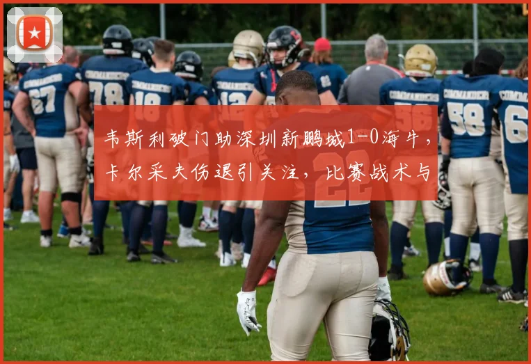 韦斯利破门助深圳新鹏城1-0海牛,卡尔采夫伤退引关注,比赛战术与球员数据深度解析